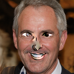 Refer to caption