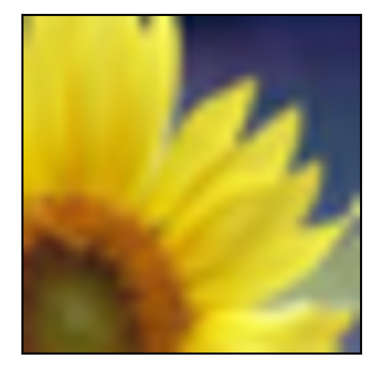 [Uncaptioned image]