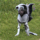 Refer to caption