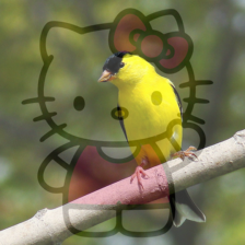Refer to caption