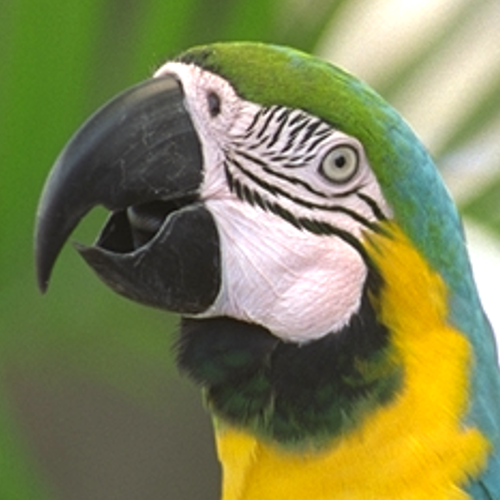 Refer to caption