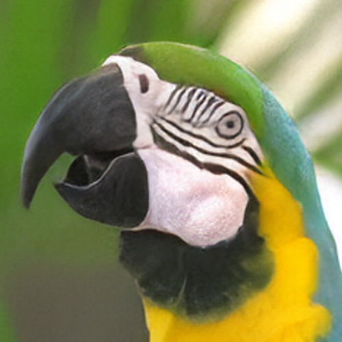 Refer to caption