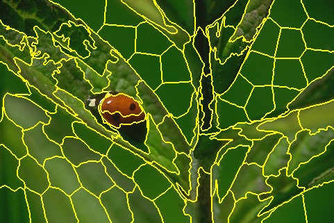 Refer to caption