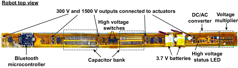 Refer to caption