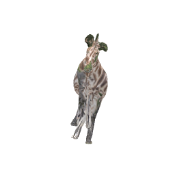 Refer to caption