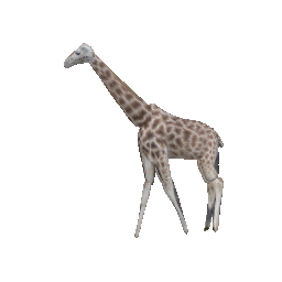 Refer to caption