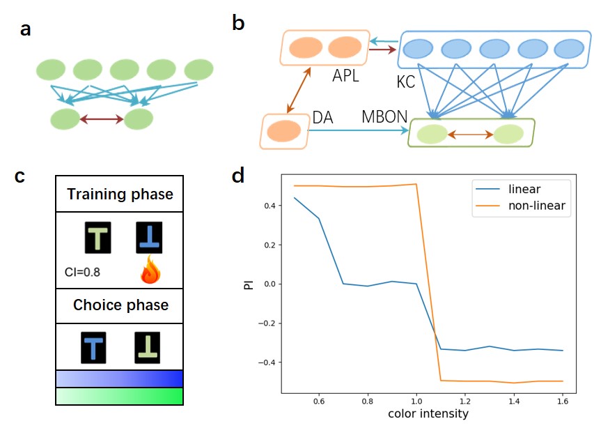 Artificial Brain Simulation - Thalamocortical System, 8 Million Neurons -  1.4 Billion Synapses 