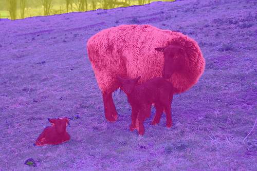 Refer to caption