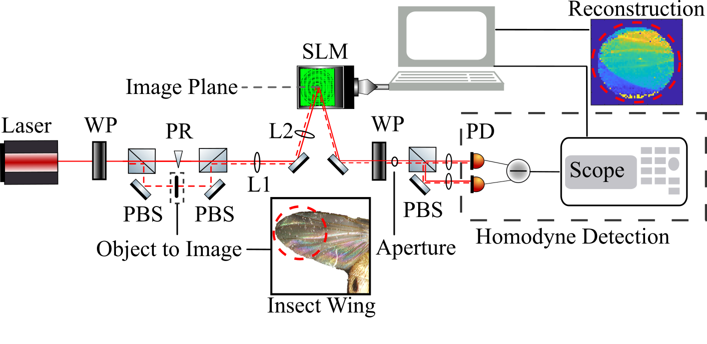 Refer to caption