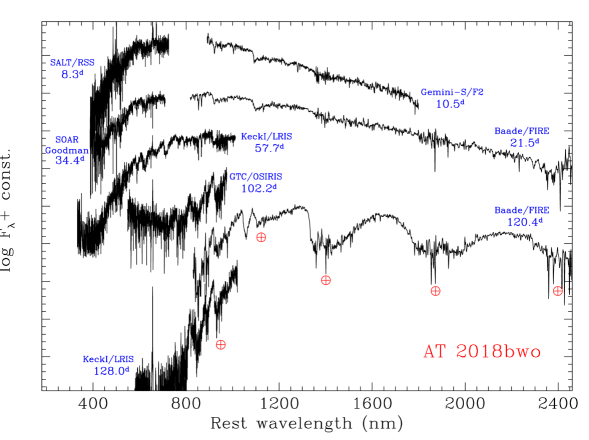 Refer to caption