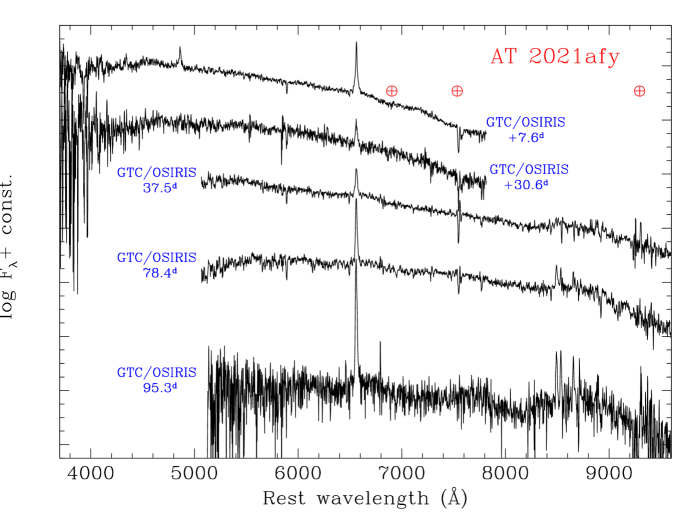 Refer to caption