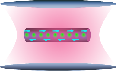 Refer to caption