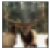 [Uncaptioned image]