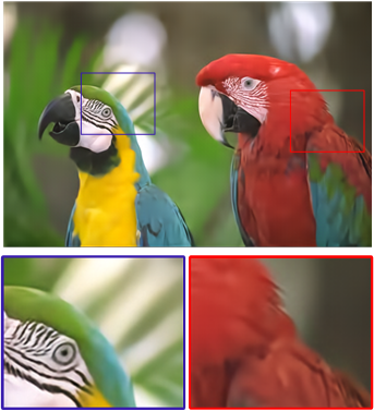 Refer to caption