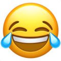 [Uncaptioned image]