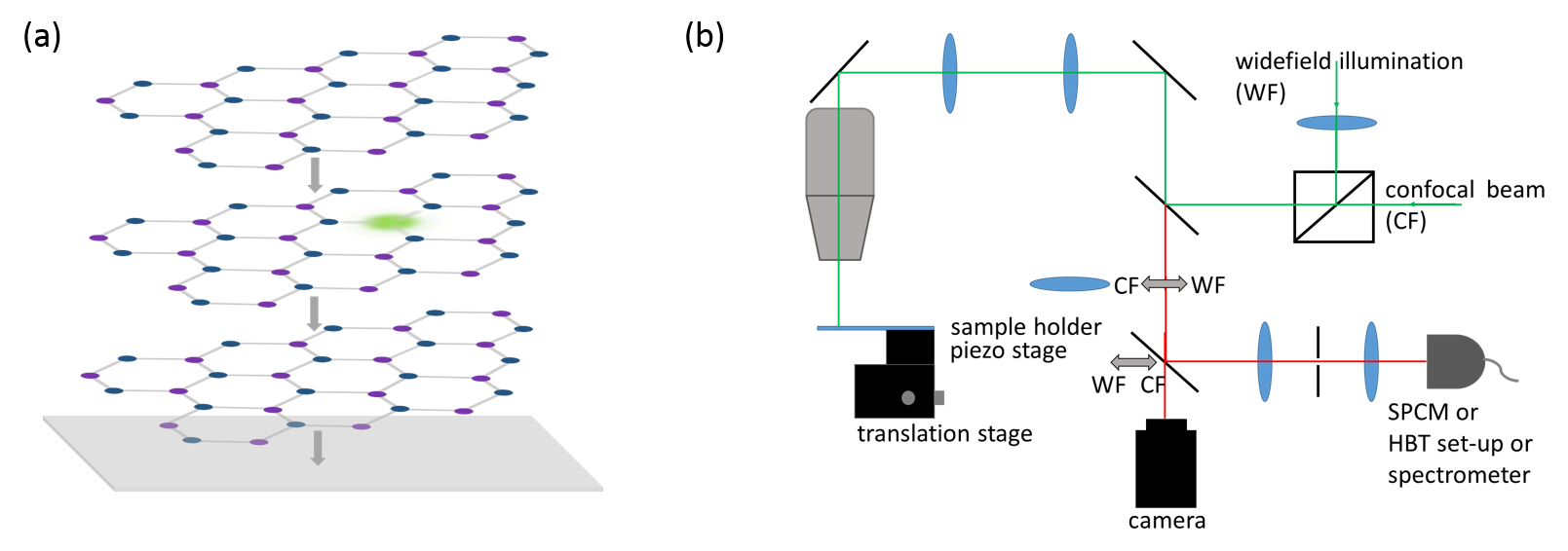 Refer to caption