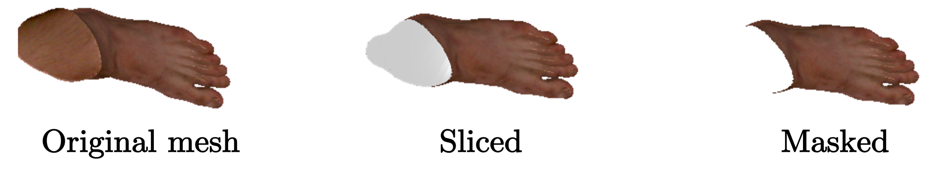 Refer to caption
