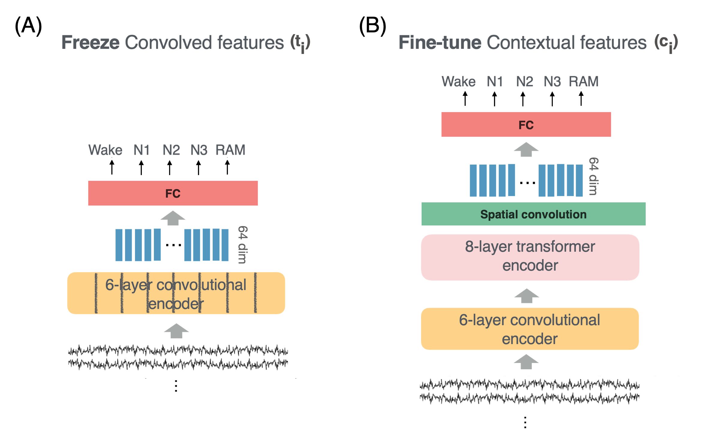 [2211.02625] MAEEG Masked Autoencoder for EEG Representation Learning