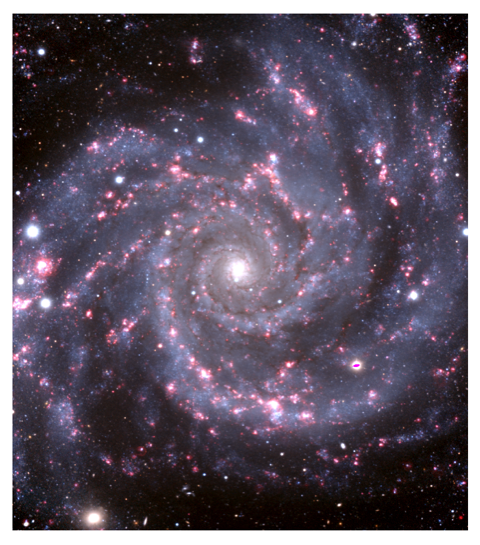 Refer to caption