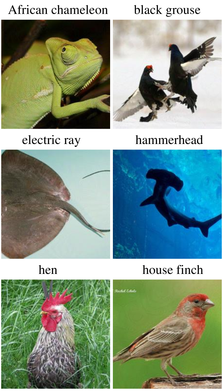 [Uncaptioned image]