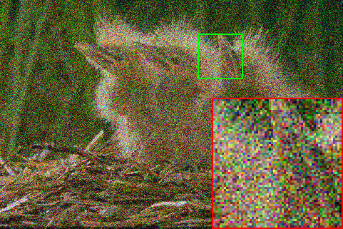 Refer to caption
