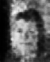 [Uncaptioned image]