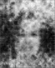 [Uncaptioned image]