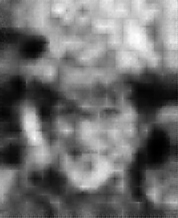 [Uncaptioned image]