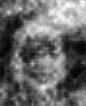 [Uncaptioned image]