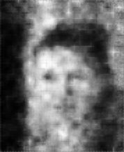 [Uncaptioned image]