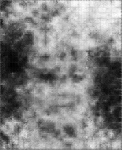 [Uncaptioned image]