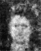[Uncaptioned image]