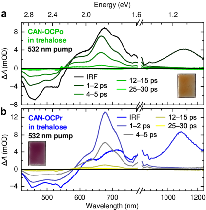 Refer to caption