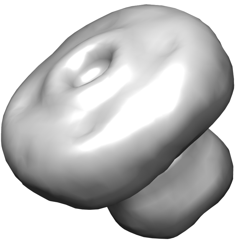 Refer to caption