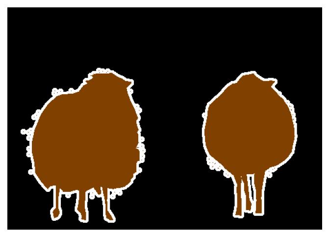Refer to caption