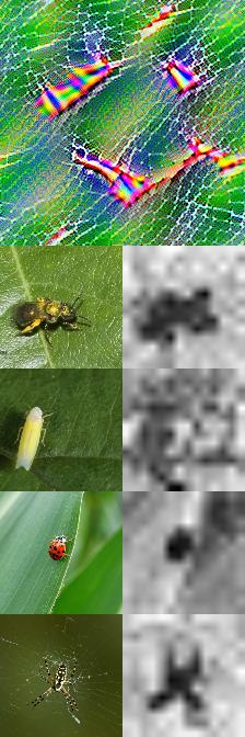 Refer to caption