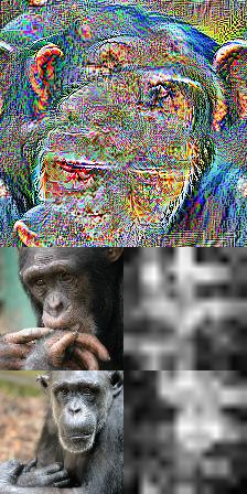 Refer to caption