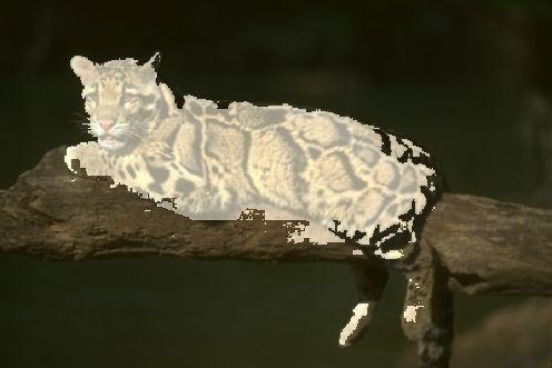 Refer to caption