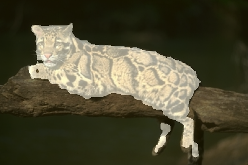 Refer to caption