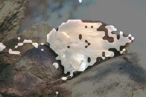 Refer to caption