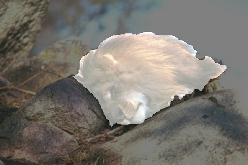 Refer to caption