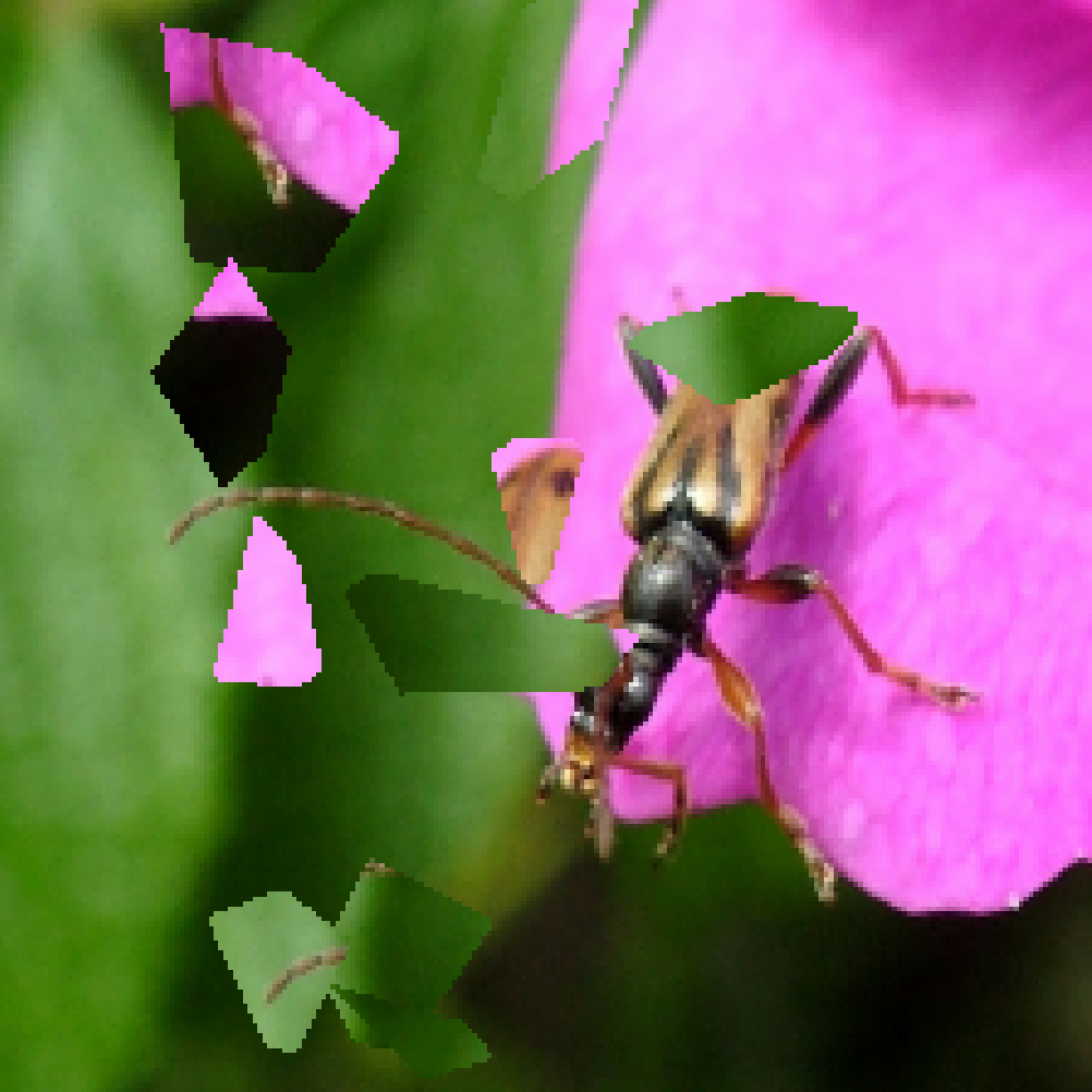 Refer to caption