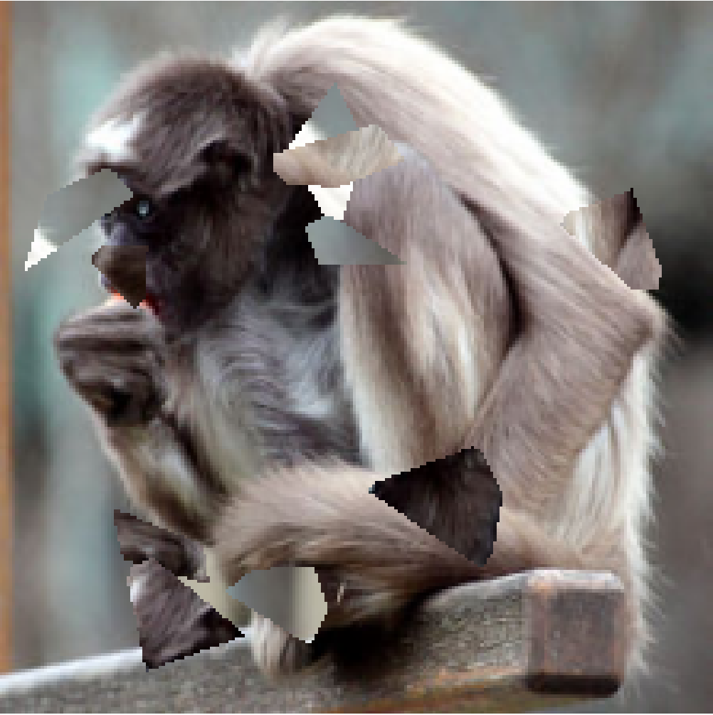 Refer to caption