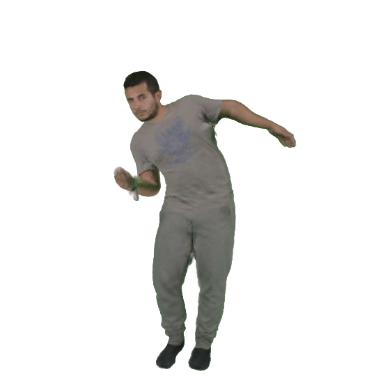Refer to caption