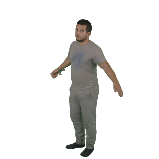 Refer to caption