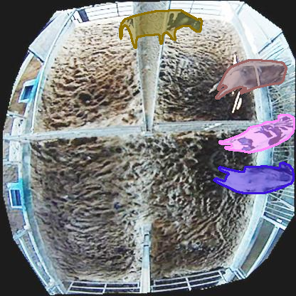 Refer to caption