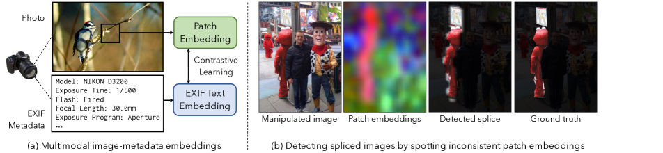[Uncaptioned image]