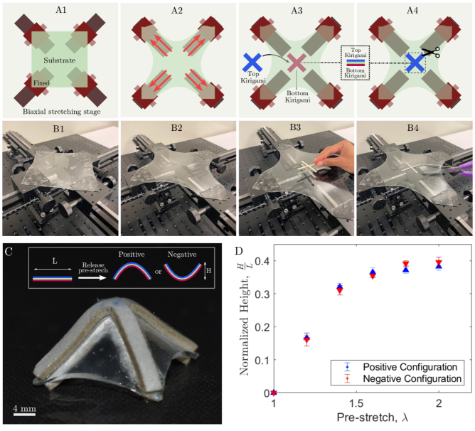 [2301.09179] Design Of Bistable Soft Deployable Structures Via A ...