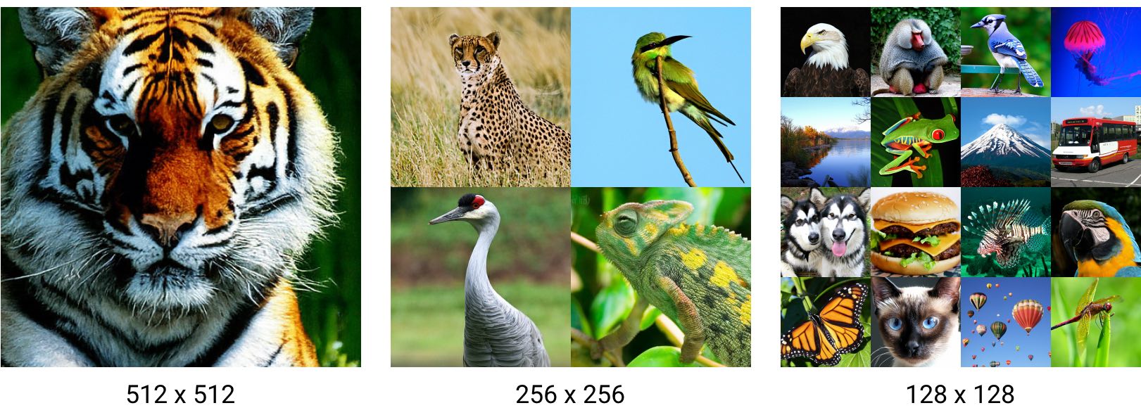 Refer to caption