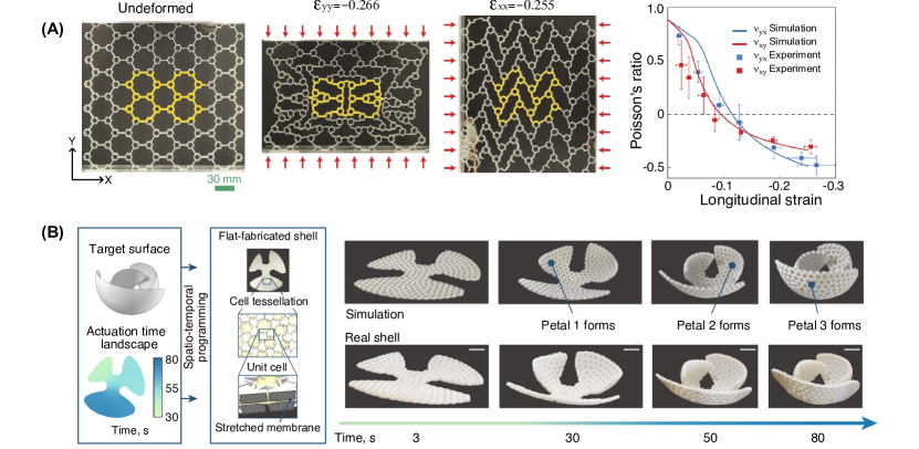 2301.12634] 3D printed architected lattice structures by material 